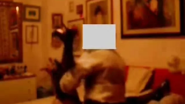 Kung darmowe filmy porno red tube Fu